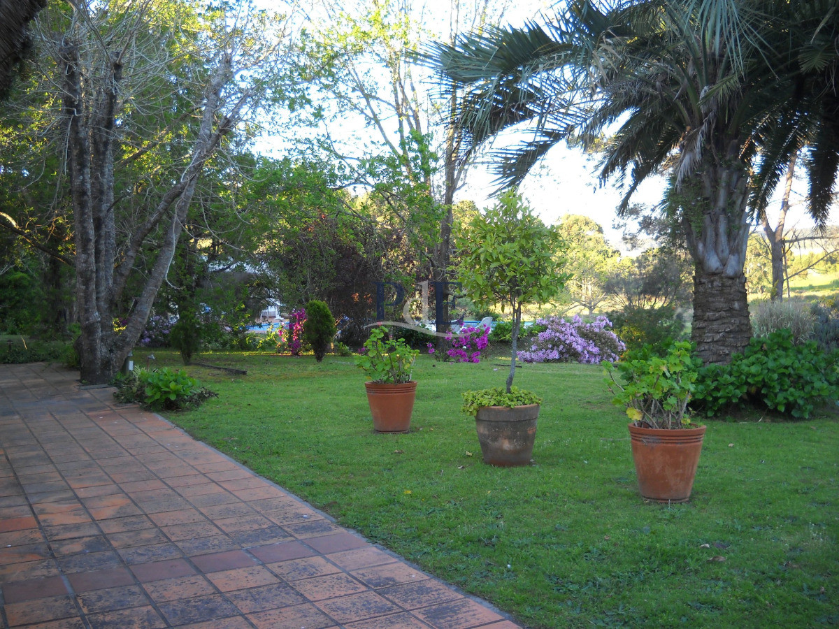 Chacra en venta en Punta Ballena - Imagen 48