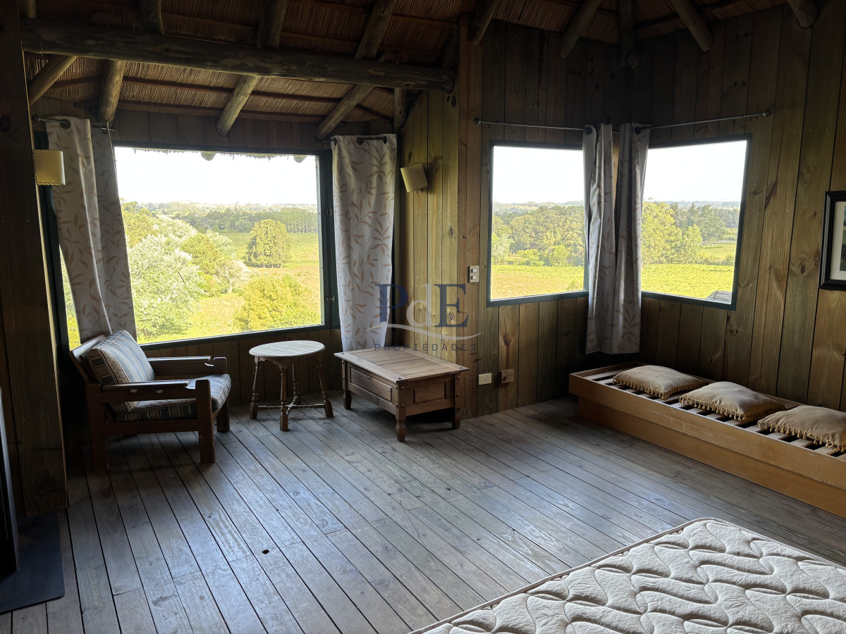 Chacra de 5 dormitorios en Punta Ballena.  - Imagen 22