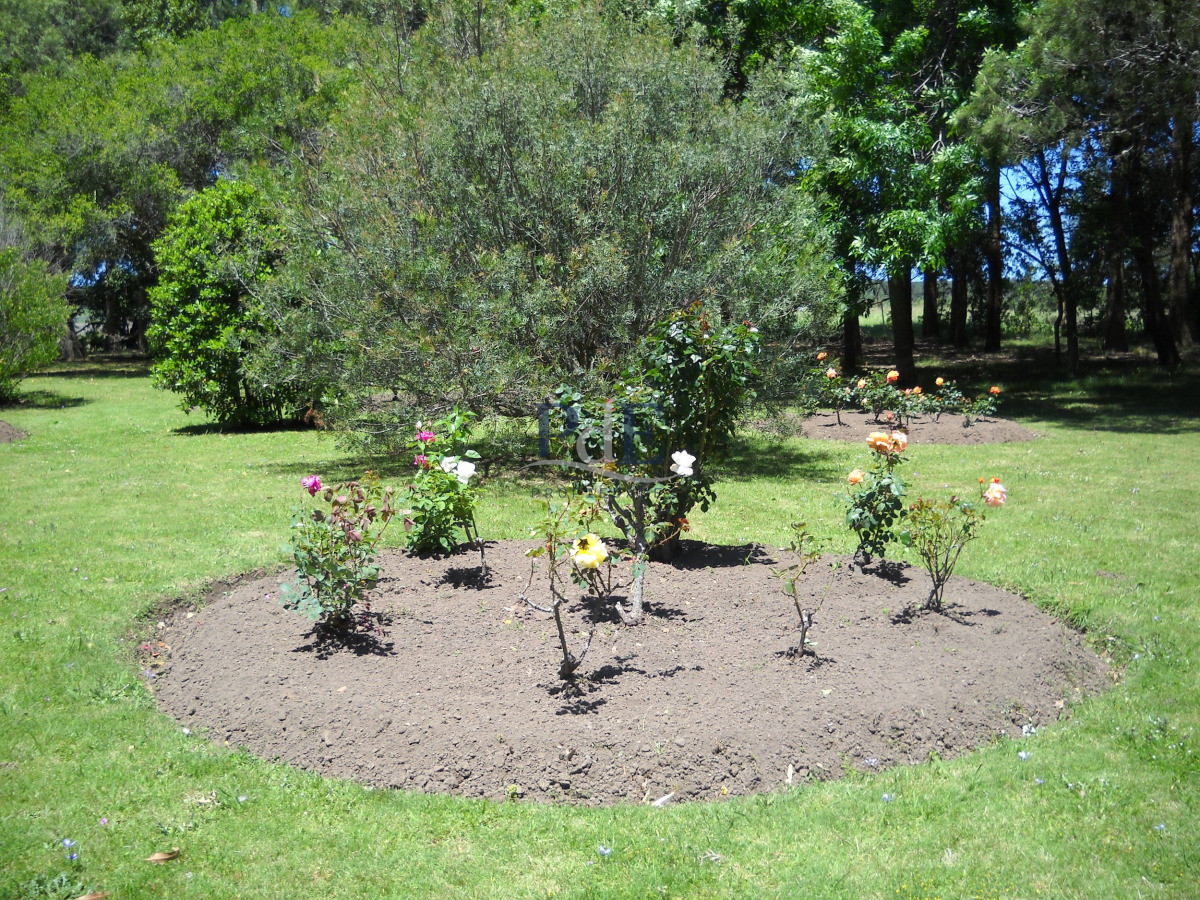 Chacra en venta en Punta Ballena - Imagen 9