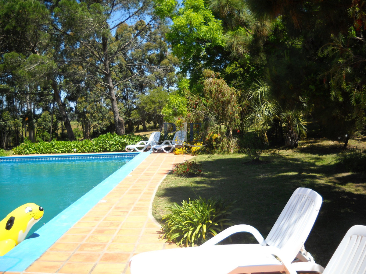 Chacra en venta en Punta Ballena - Imagen 68