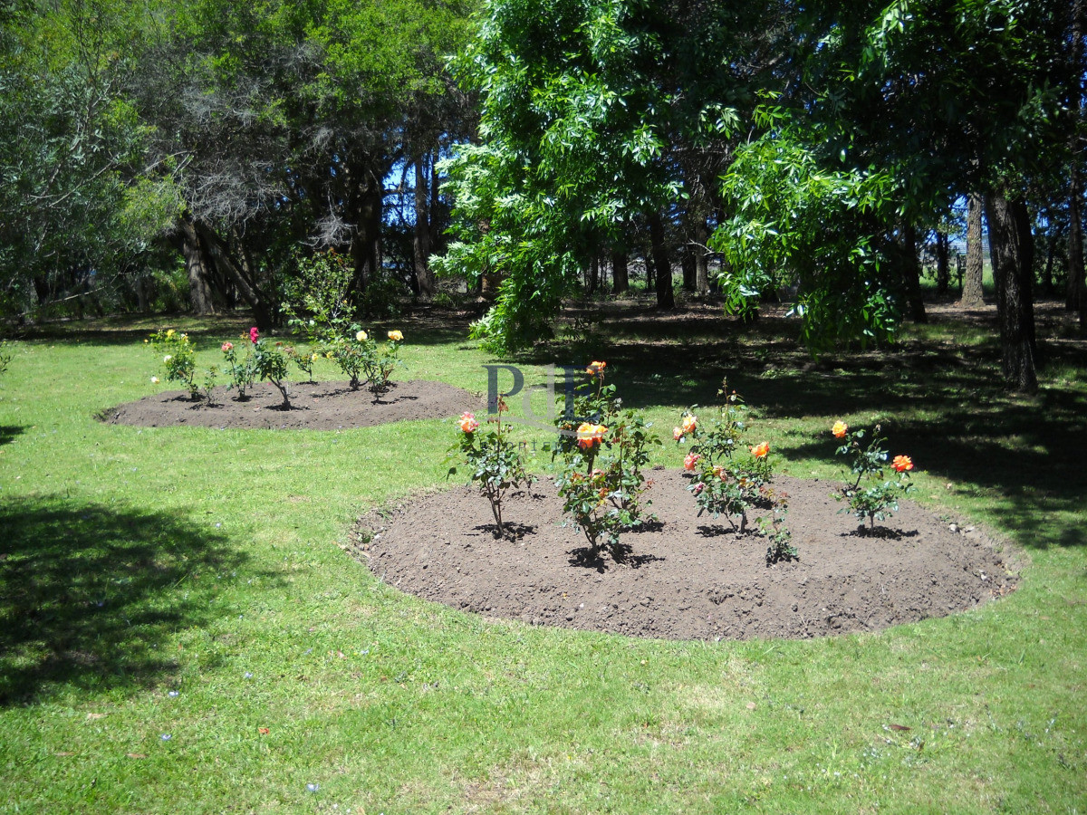 Chacra en venta en Punta Ballena - Imagen 10