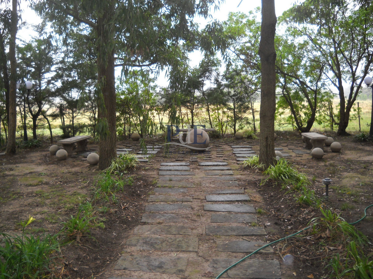 Chacra en venta en Punta Ballena - Imagen 14