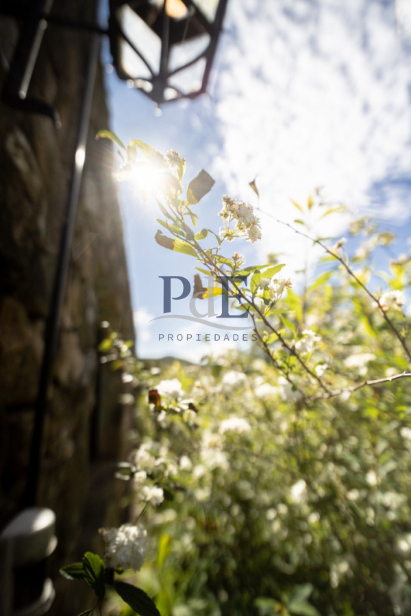 Campo en venta | 95 ha ganaderas, casa de piedra y casa de personal. Ubicación: Pueblo Edén, Maldonado - Imagen 24