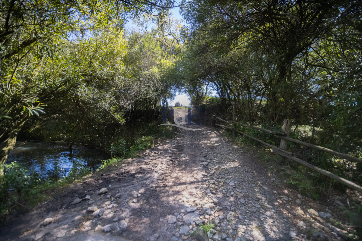 Campo en venta | 95 ha ganaderas, casa de piedra y casa de personal. Ubicación: Pueblo Edén, Maldonado - Imagen 36