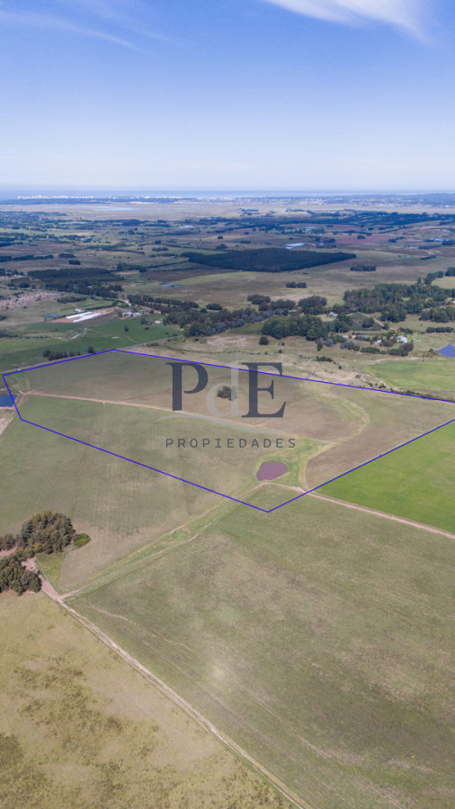 42 hectáreas para desarrollo | Camino Medellín - Imagen 6