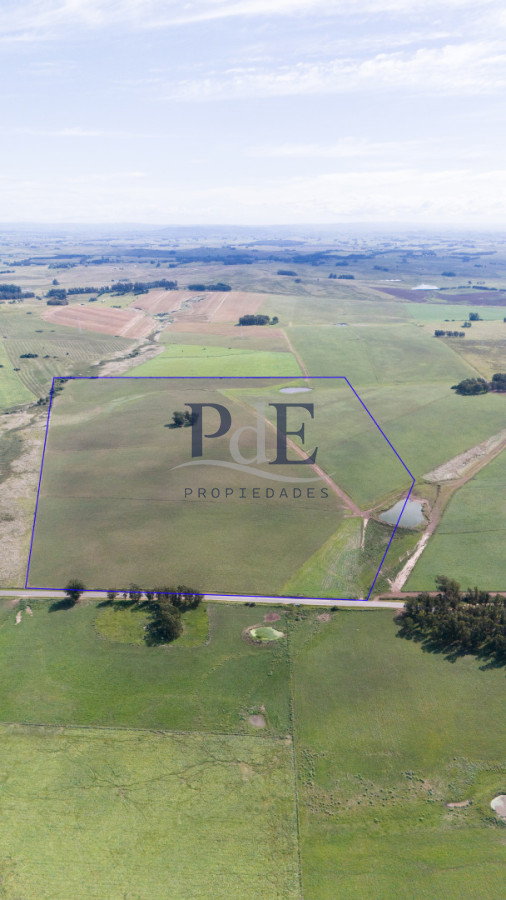 42 hectáreas para desarrollo | Camino Medellín - Imagen 7