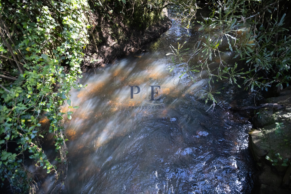 Campo en venta | 95 ha ganaderas, casa de piedra y casa de personal. Ubicación: Pueblo Edén, Maldonado - Imagen 37