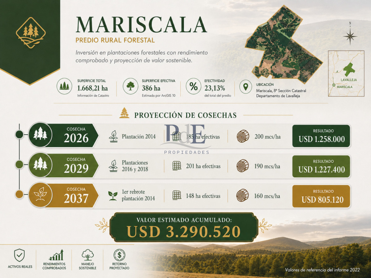 Campo forestal 1.668 ha en Mariscala, Lavalleja | 386 ha forestadas | Inversión productiva - Imagen 3