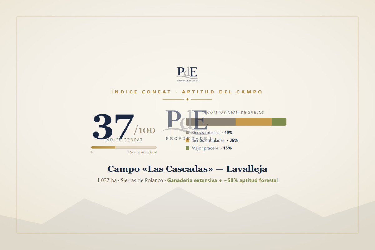 Sierras de Lavalleja | Polanco | Campo en venta | 1.033 hectáreas - Imagen 30