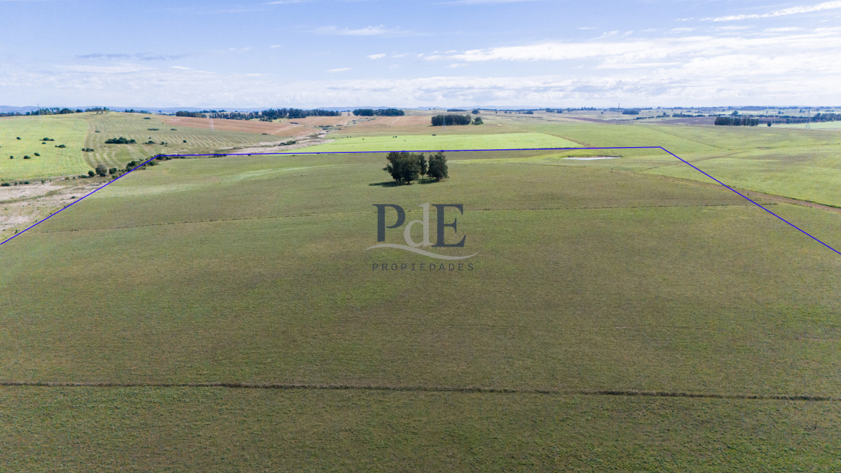 42 hectáreas para desarrollo | Camino Medellín - Imagen 4