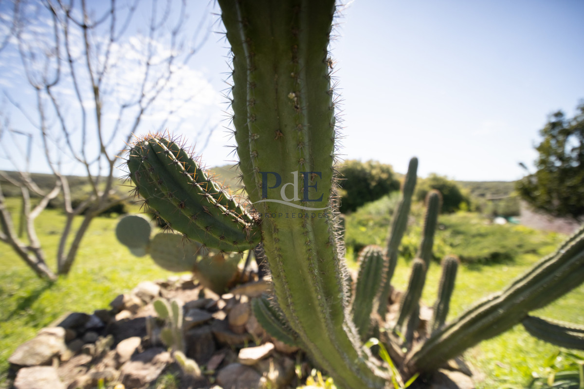 Campo en venta | 95 ha ganaderas, casa de piedra y casa de personal. Ubicación: Pueblo Edén, Maldonado - Imagen 27