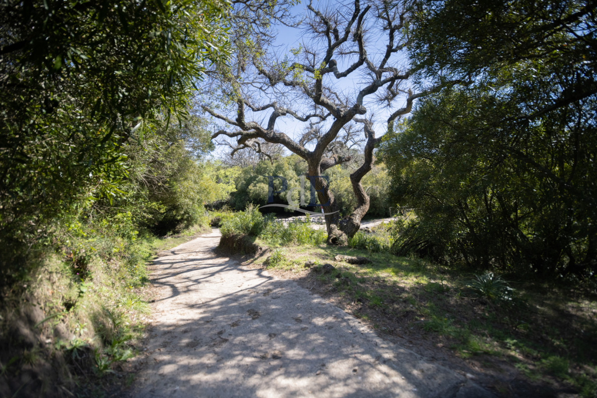 Campo en venta | 95 ha ganaderas, casa de piedra y casa de personal. Ubicación: Pueblo Edén, Maldonado - Imagen 31