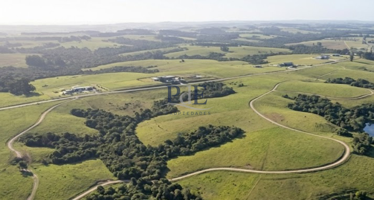Campo / Proyecto de Fraccionamiento - Camino Eguzquiza (Maldonado) - Imagen 1