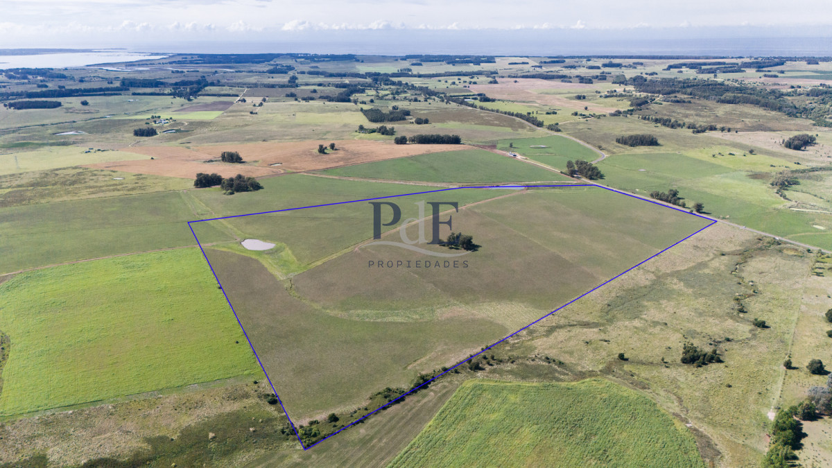 42 hectáreas para desarrollo | Camino Medellín - Imagen 3