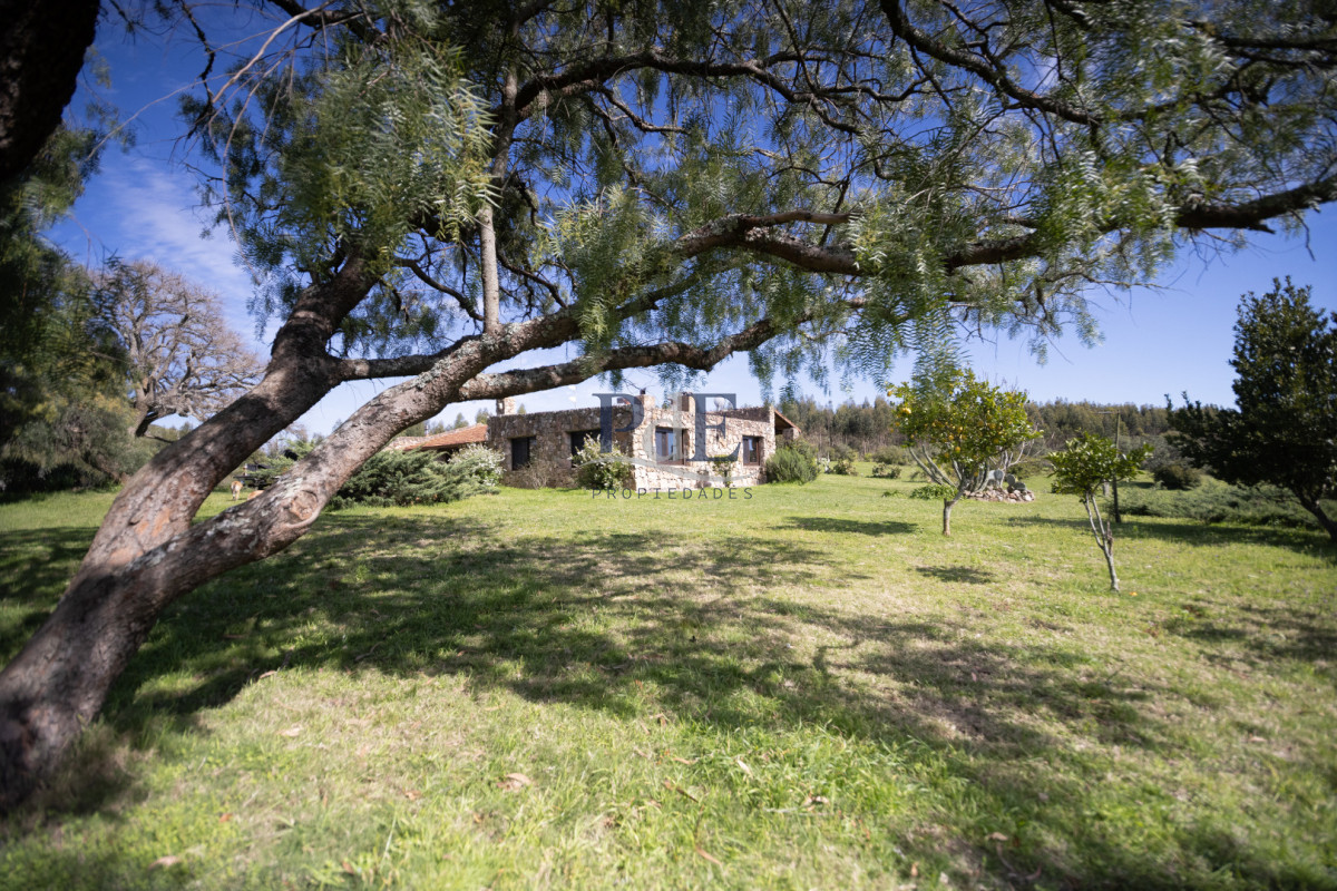 Campo en venta | 95 ha ganaderas, casa de piedra y casa de personal. Ubicación: Pueblo Edén, Maldonado - Imagen 23