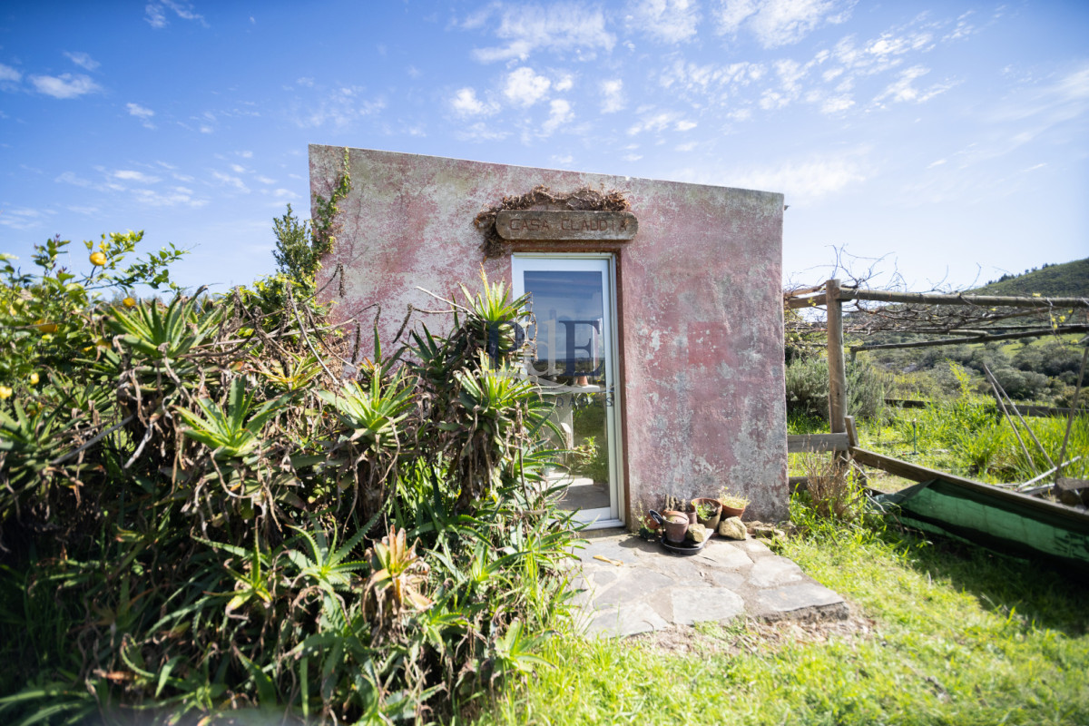 Campo en venta | 95 ha ganaderas, casa de piedra y casa de personal. Ubicación: Pueblo Edén, Maldonado - Imagen 25