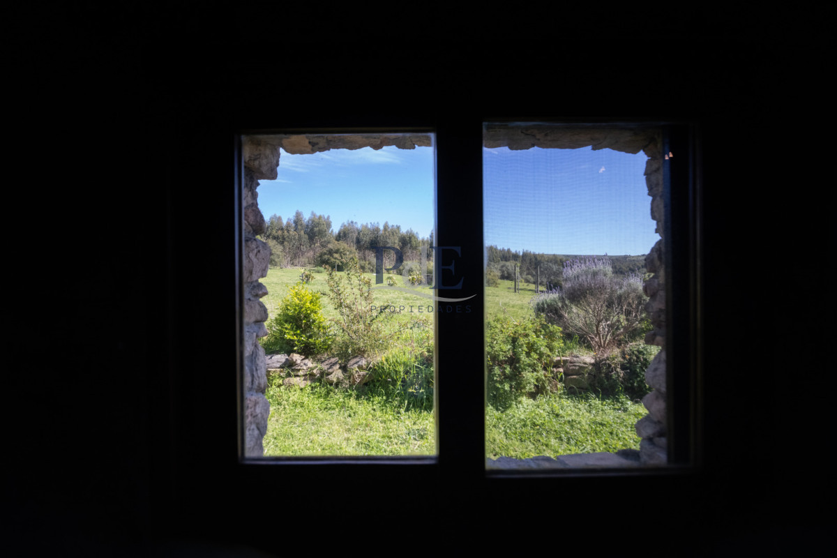 Campo en venta | 95 ha ganaderas, casa de piedra y casa de personal. Ubicación: Pueblo Edén, Maldonado - Imagen 20