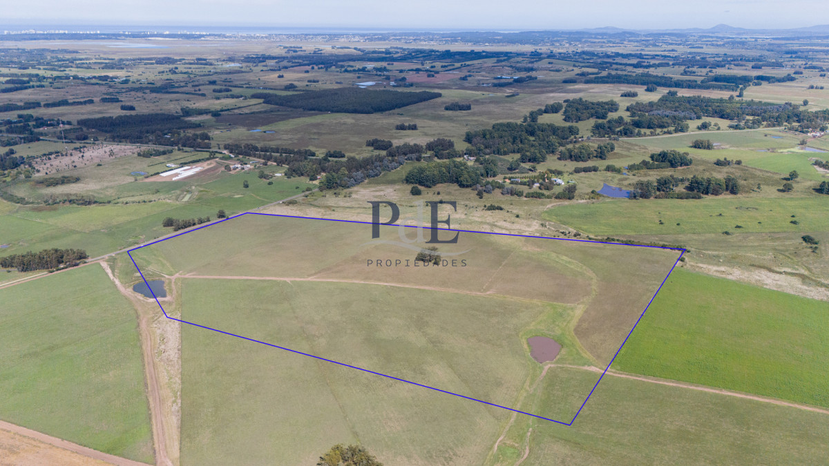 42 hectáreas para desarrollo | Camino Medellín