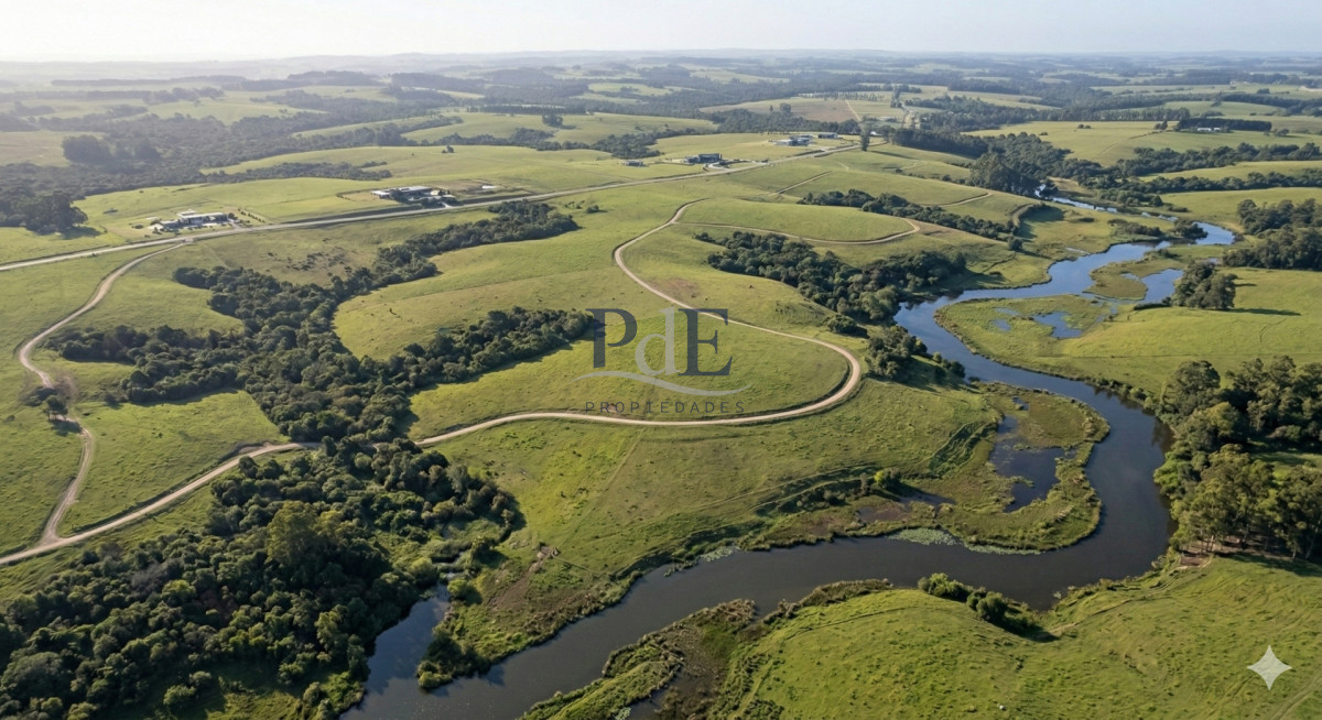 Campo / Proyecto de Fraccionamiento - Camino Eguzquiza (Maldonado) - Imagen 3