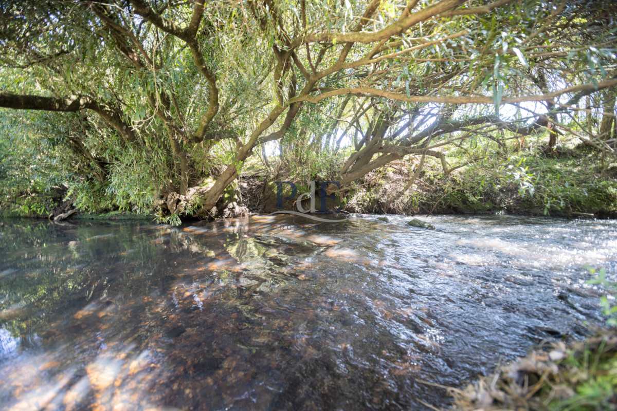 Campo en venta | 95 ha ganaderas, casa de piedra y casa de personal. Ubicación: Pueblo Edén, Maldonado - Imagen 34
