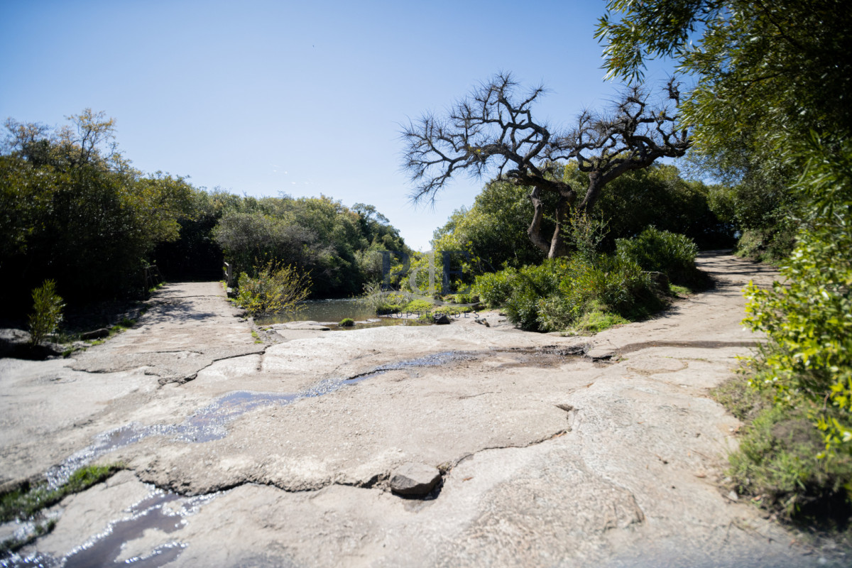 Campo en venta | 95 ha ganaderas, casa de piedra y casa de personal. Ubicación: Pueblo Edén, Maldonado - Imagen 33