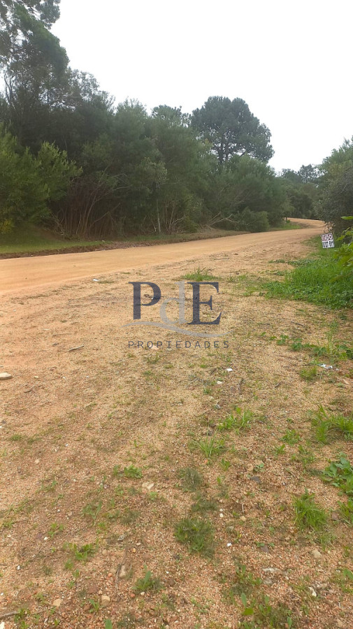 Terreno en venta en Punta Ballena!! - Imagen 7