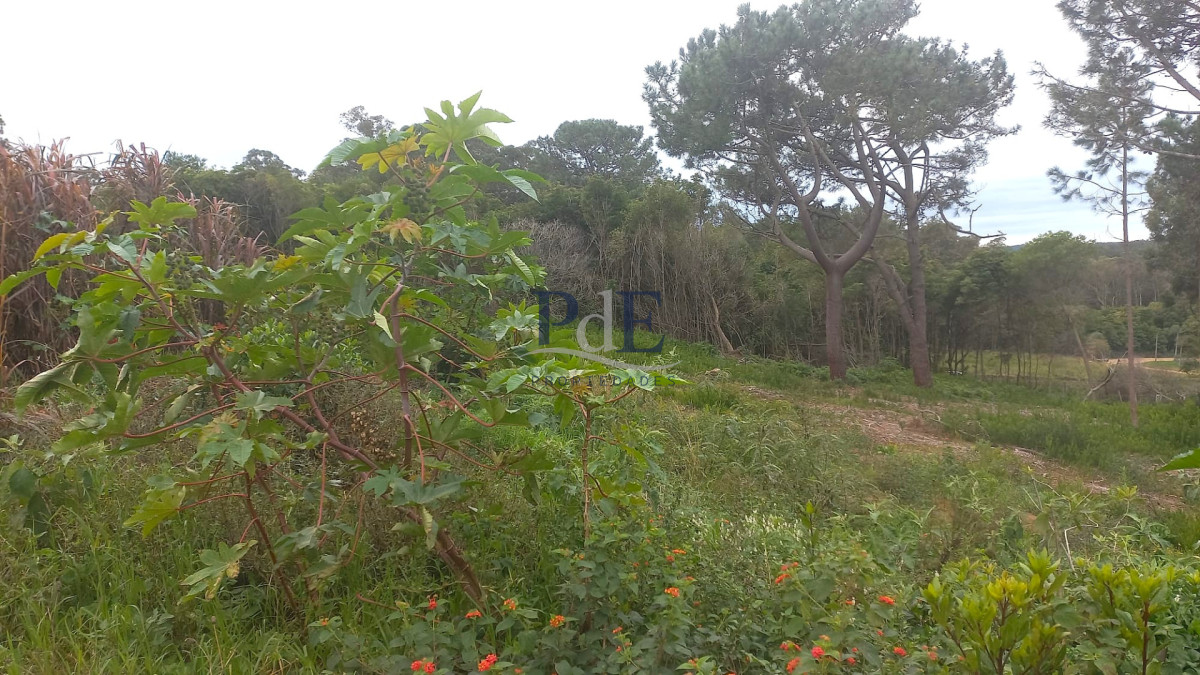 Terreno en venta en Punta Ballena!! - Imagen 11