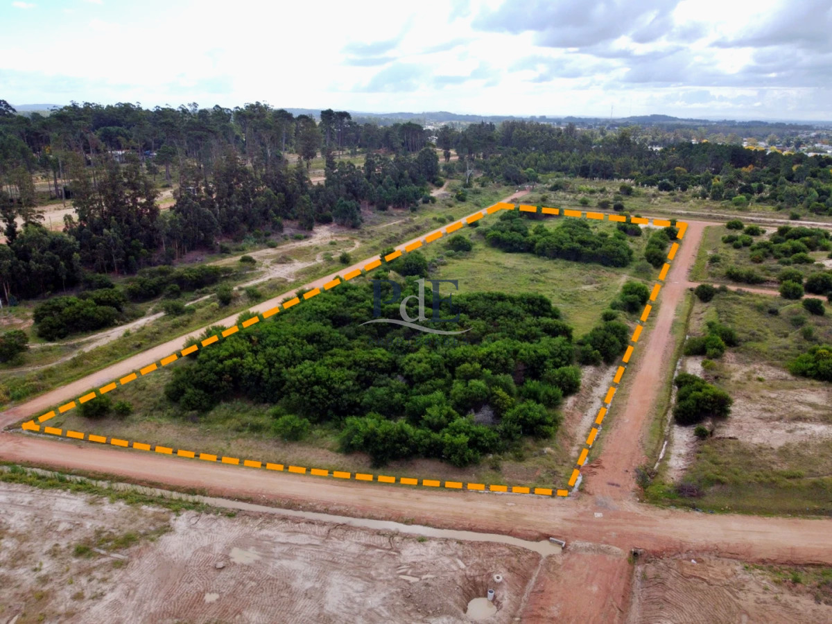 Terreno 600 m² en Sausalito, Maldonado · A 5 min Playa Mansa · Ley de Vivienda Promovida - Imagen 14