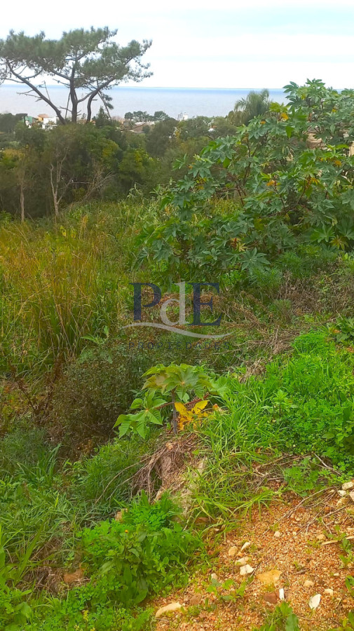 Terreno en venta en Punta Ballena!! - Imagen 3