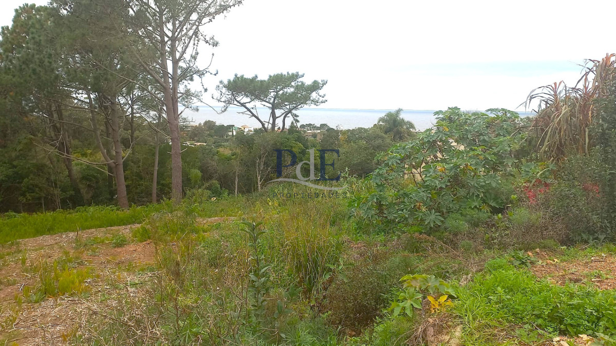 Terreno en venta en Punta Ballena!! - Imagen 6