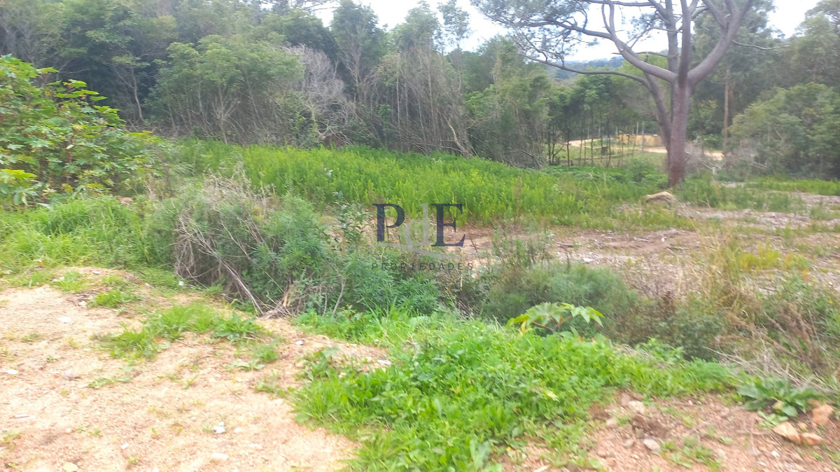 Terreno en venta en Punta Ballena!! - Imagen 8