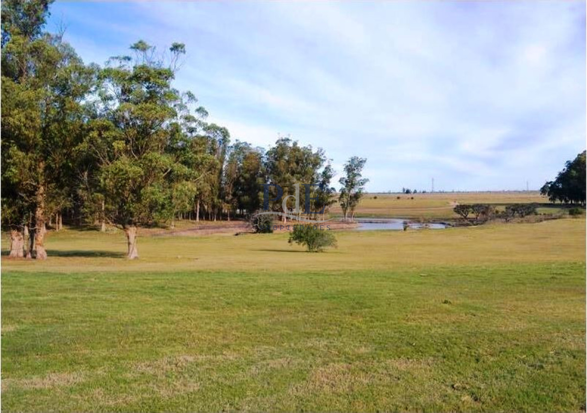 Excelente lote en El Quijote, con 5.000 m²