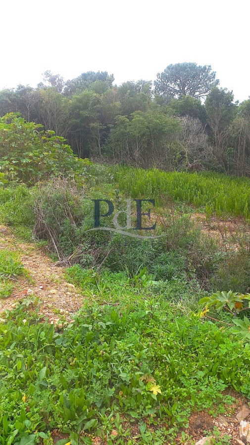Terreno en venta en Punta Ballena!! - Imagen 12