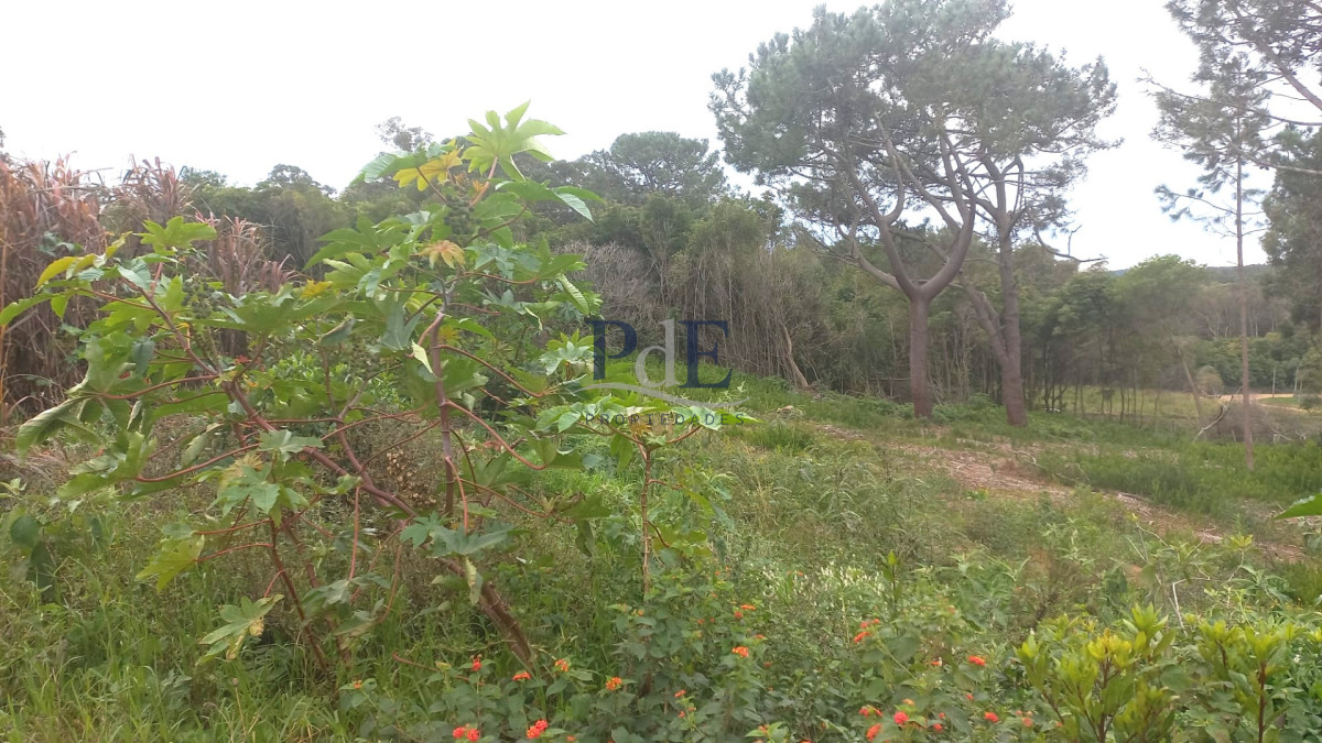 Terreno en venta en Punta Ballena!! - Imagen 10
