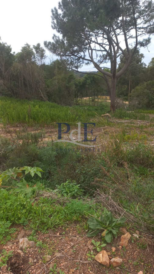 Terreno en venta en Punta Ballena!! - Imagen 9
