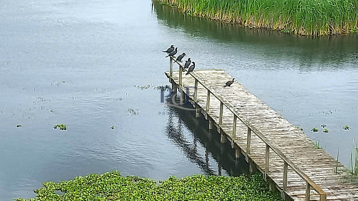 Apartamento a orillas de Laguna del Diario - Imagen 11