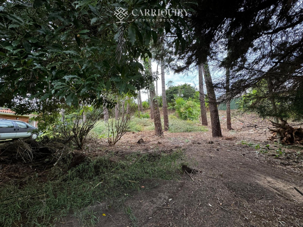 Terreno ID.9921/Terreno-a-la-venta-en-La-Juanita--Jose-Ignacio - VENTA TERRENO EN CANTEGRIL