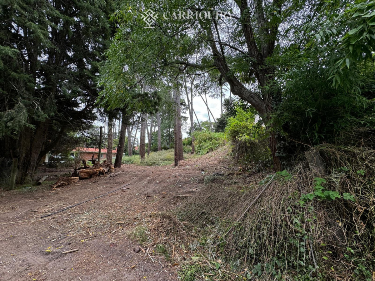 Terreno ID.9921/Terreno-a-la-venta-en-La-Juanita--Jose-Ignacio - VENTA TERRENO EN CANTEGRIL