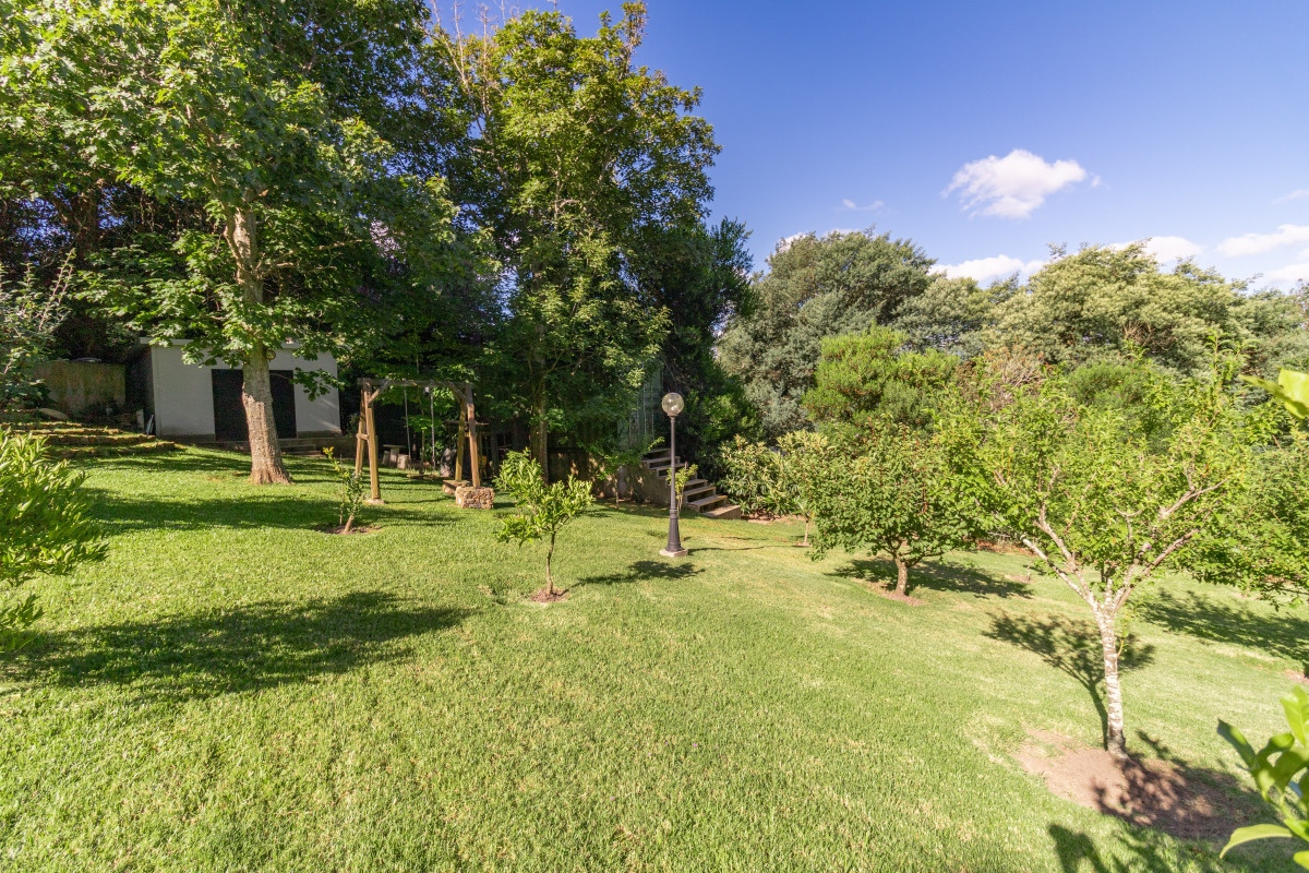 Casa ID.21098480 - Casa en Punta Ballena, Punta Ballena