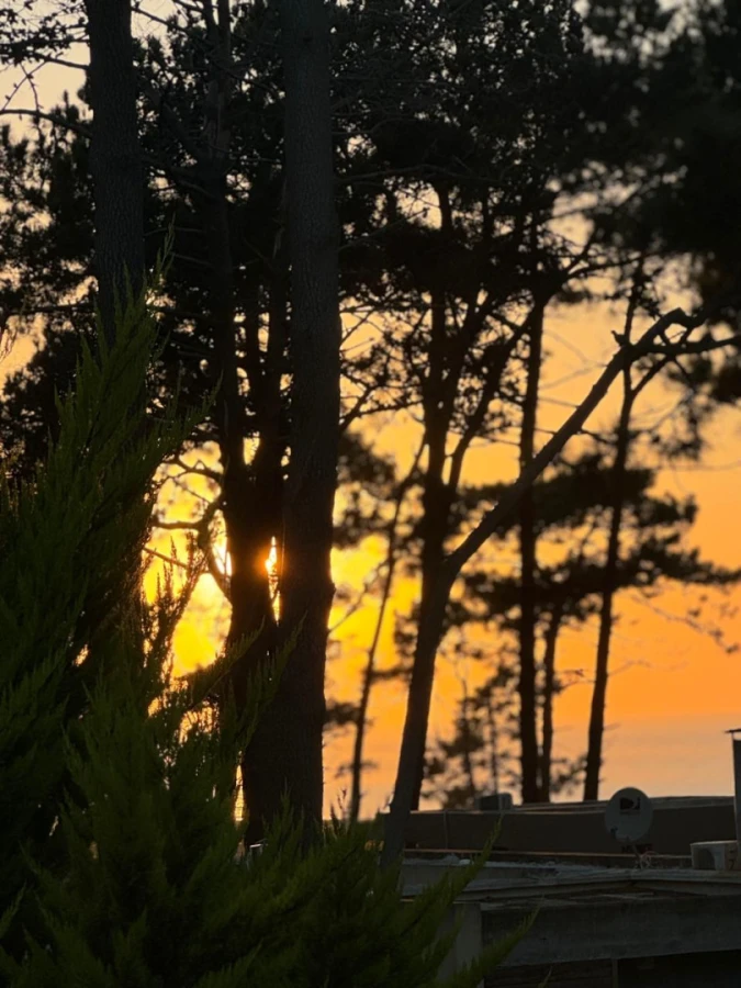 Casa ID.21098552 - Moderna casa en Montoya, a pasos del mar y de todos los servicios