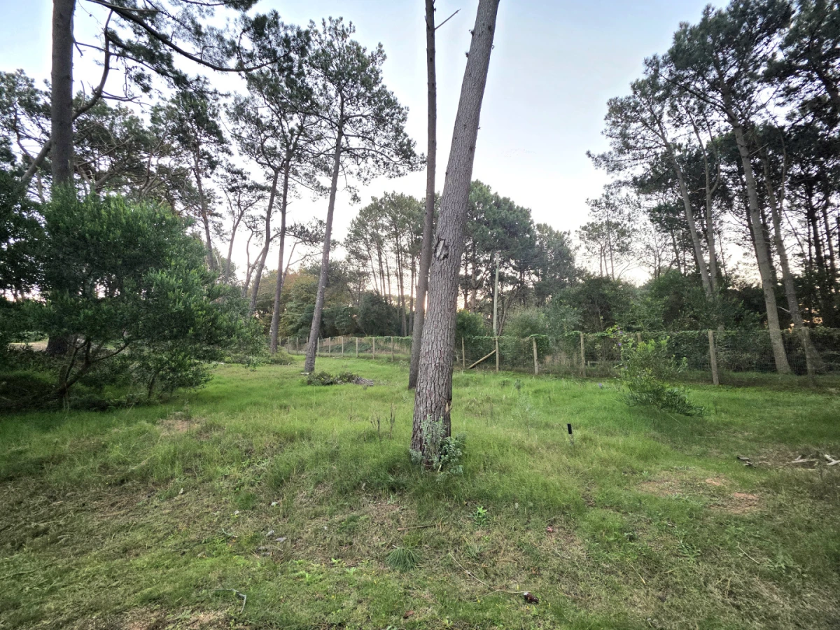 Terreno ID.21098802 - VENTA DE LOTE EN OPORTUNIDAD EN RESERVA MONTOYA 