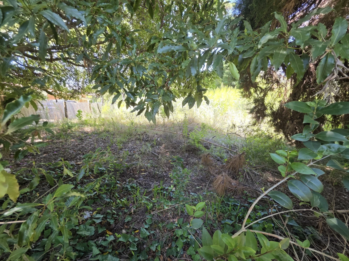 Terreno ID.21098573 - VENTA TERRENO EN CANTEGRIL