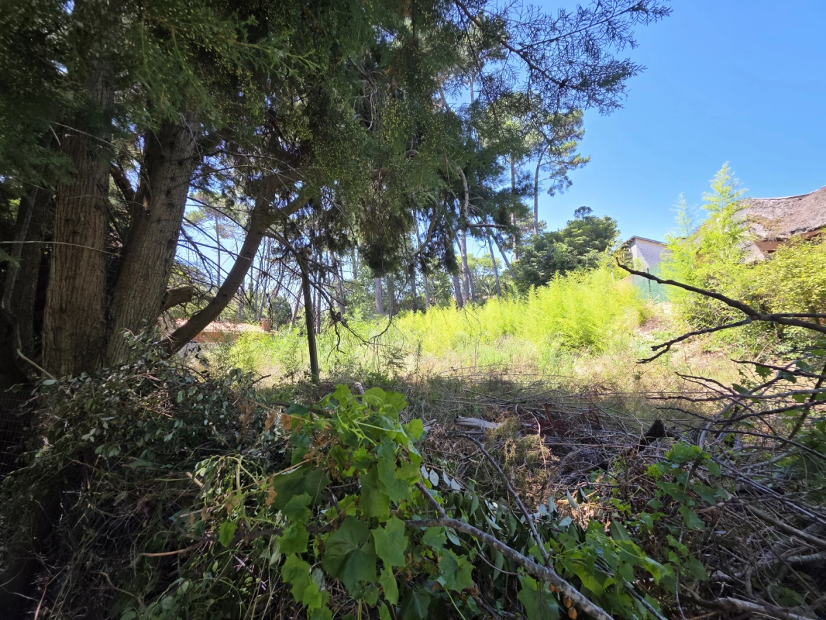 Terreno ID.21098573 - VENTA TERRENO EN CANTEGRIL