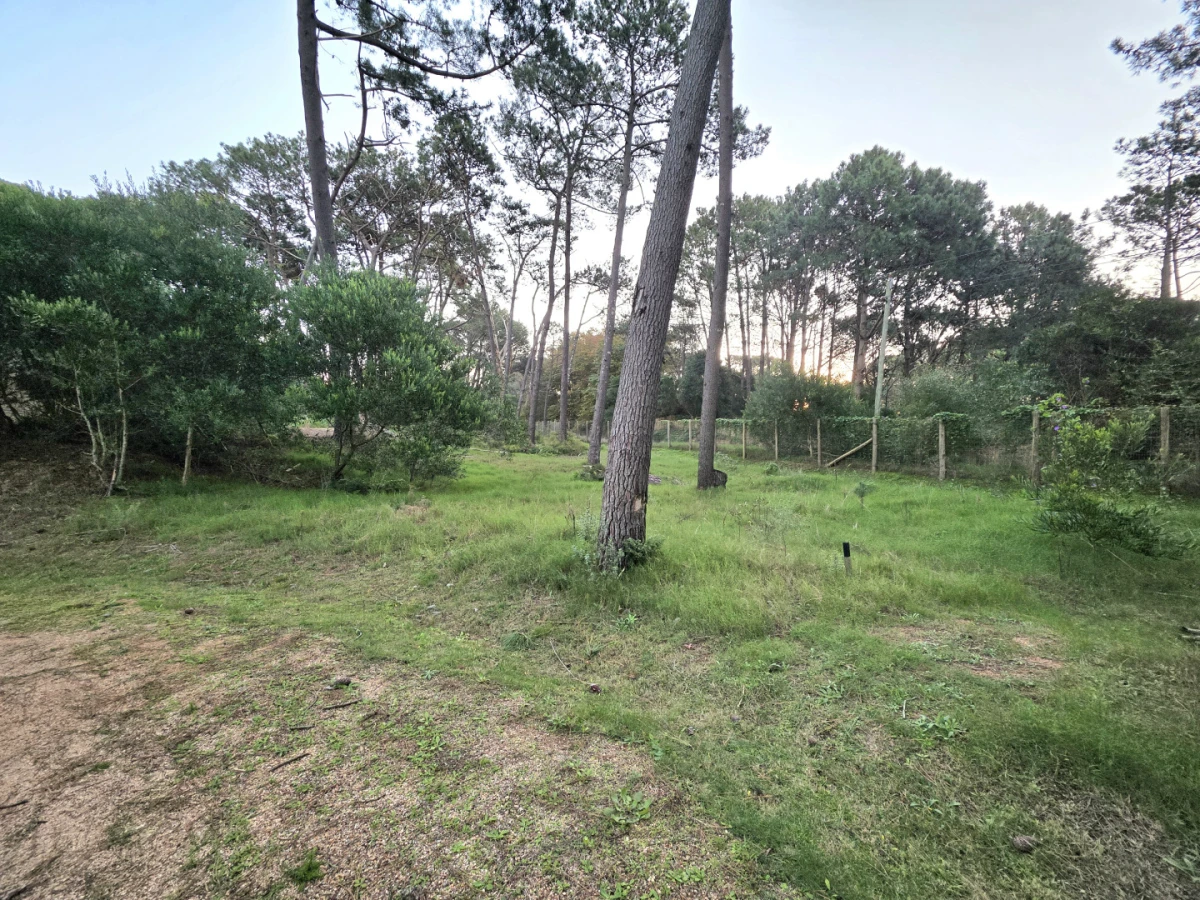 Terreno ID.21098802 - VENTA DE LOTE EN OPORTUNIDAD EN RESERVA MONTOYA 