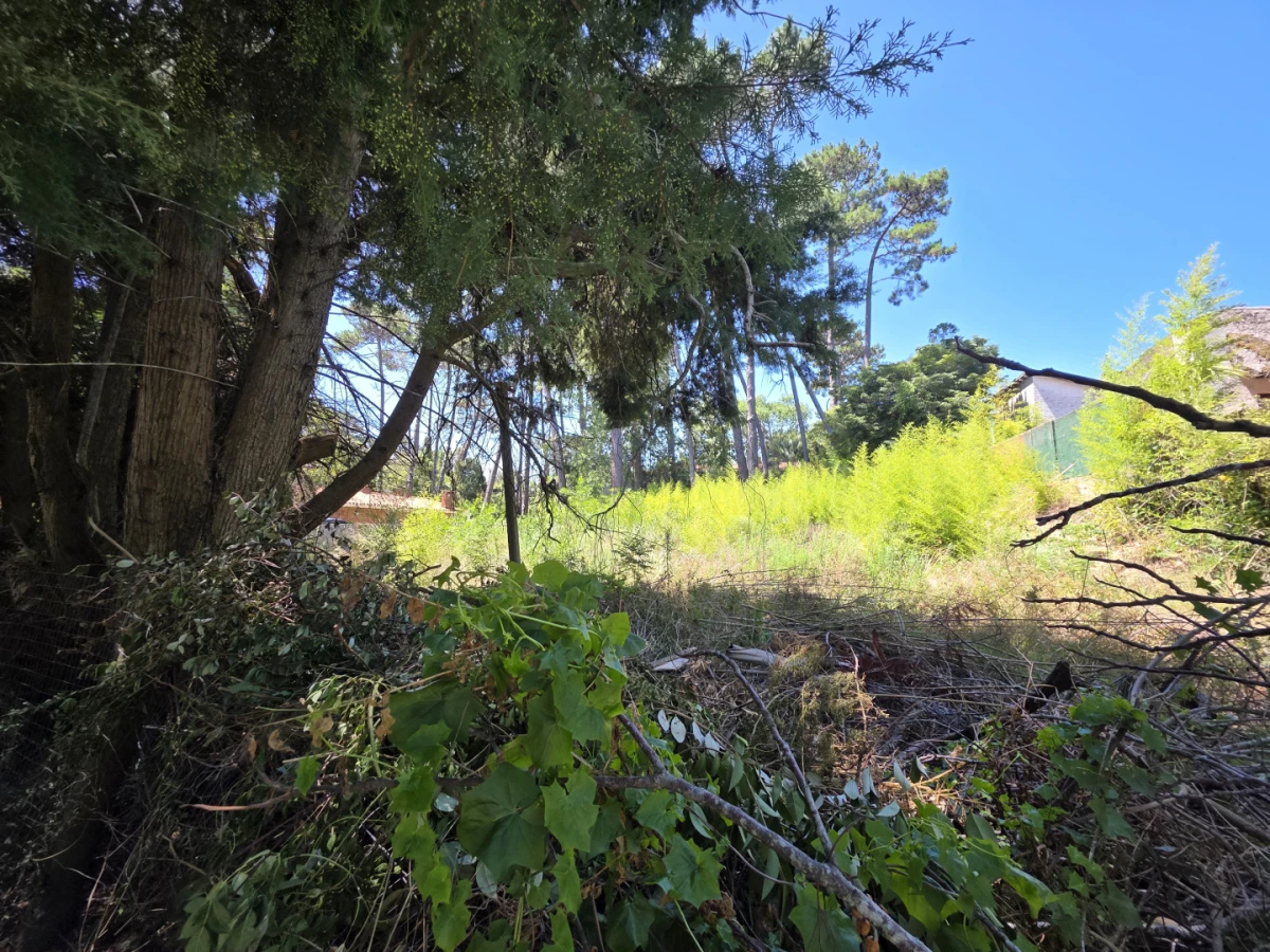 Terreno ID.21098573 - VENTA TERRENO EN CANTEGRIL