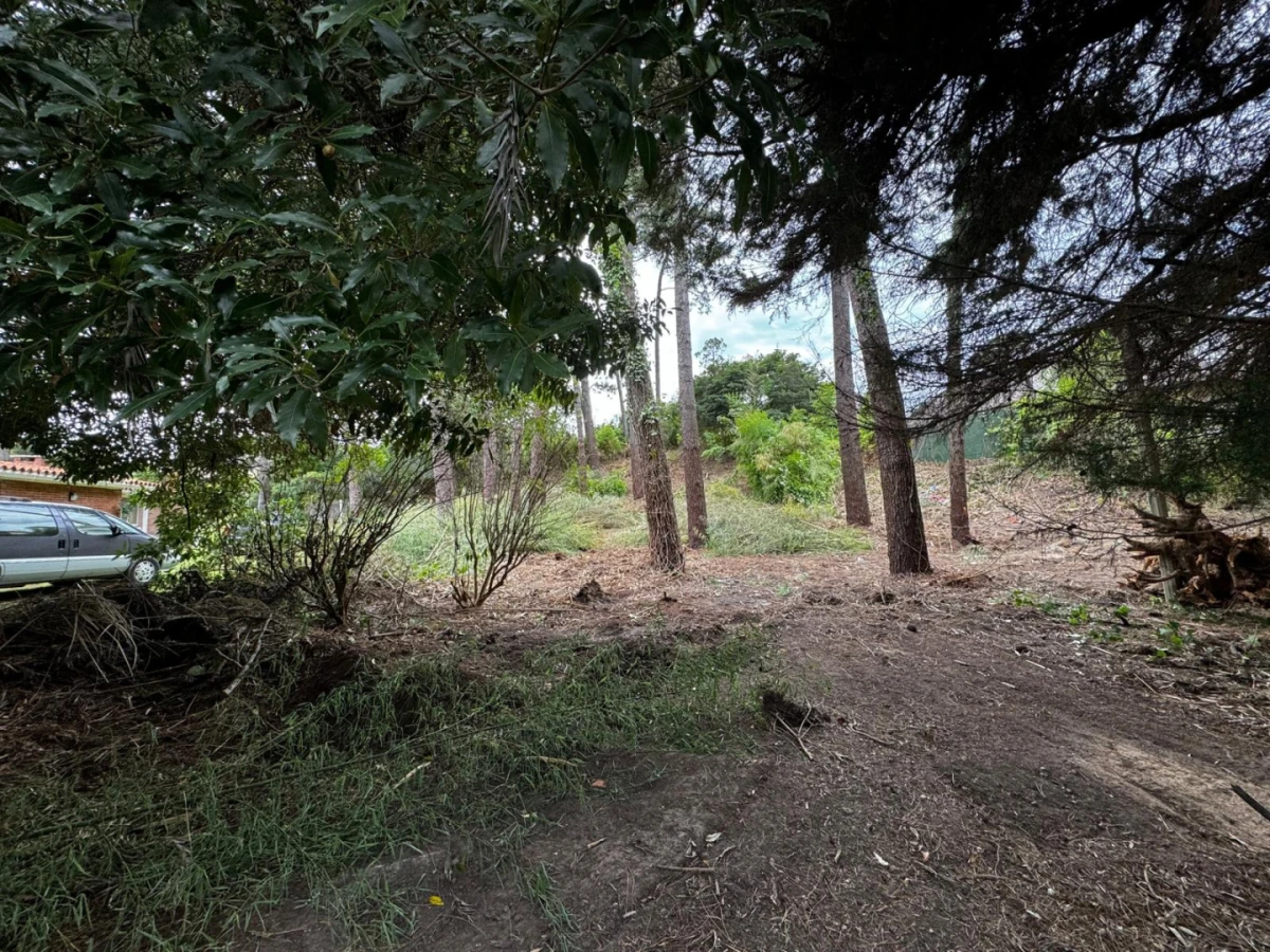 Terreno ID.21098573 - VENTA TERRENO EN CANTEGRIL