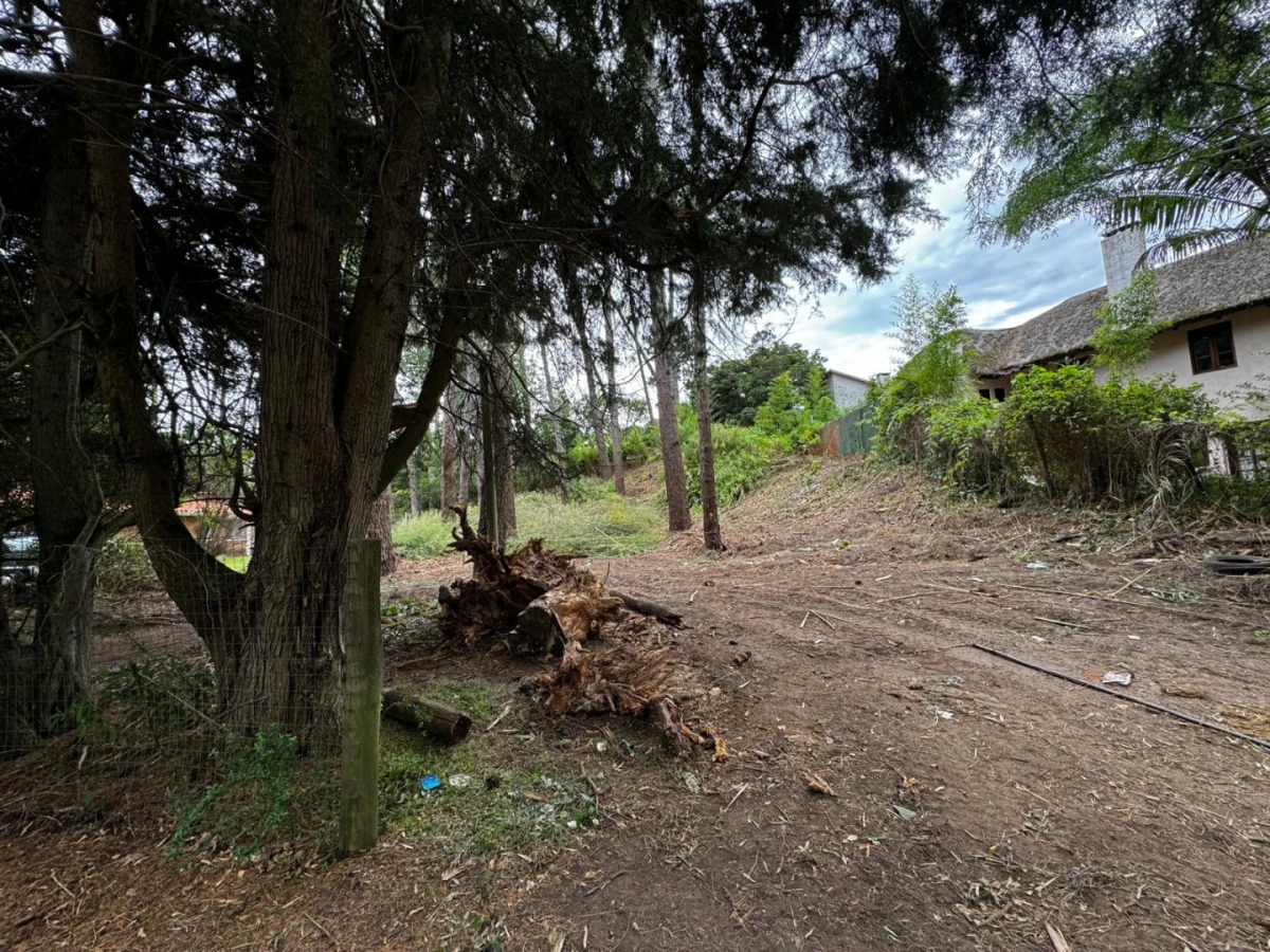 Terreno ID.21098573 - VENTA TERRENO EN CANTEGRIL