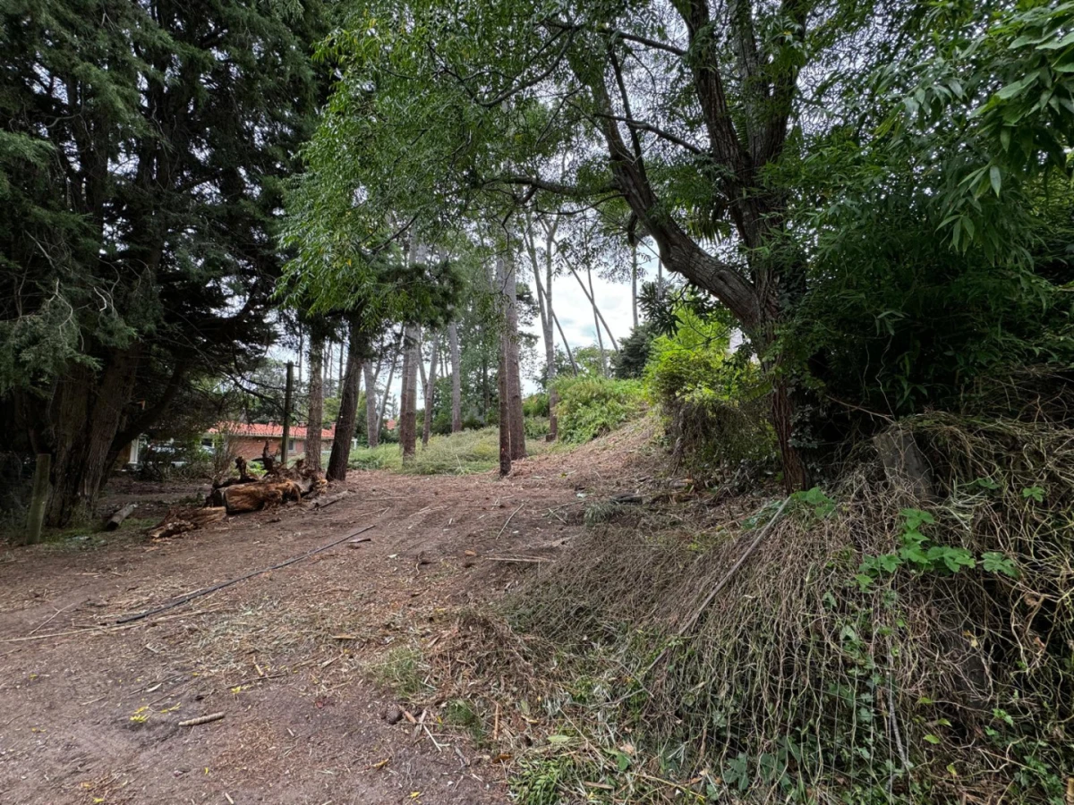 Terreno ID.21098573 - VENTA TERRENO EN CANTEGRIL