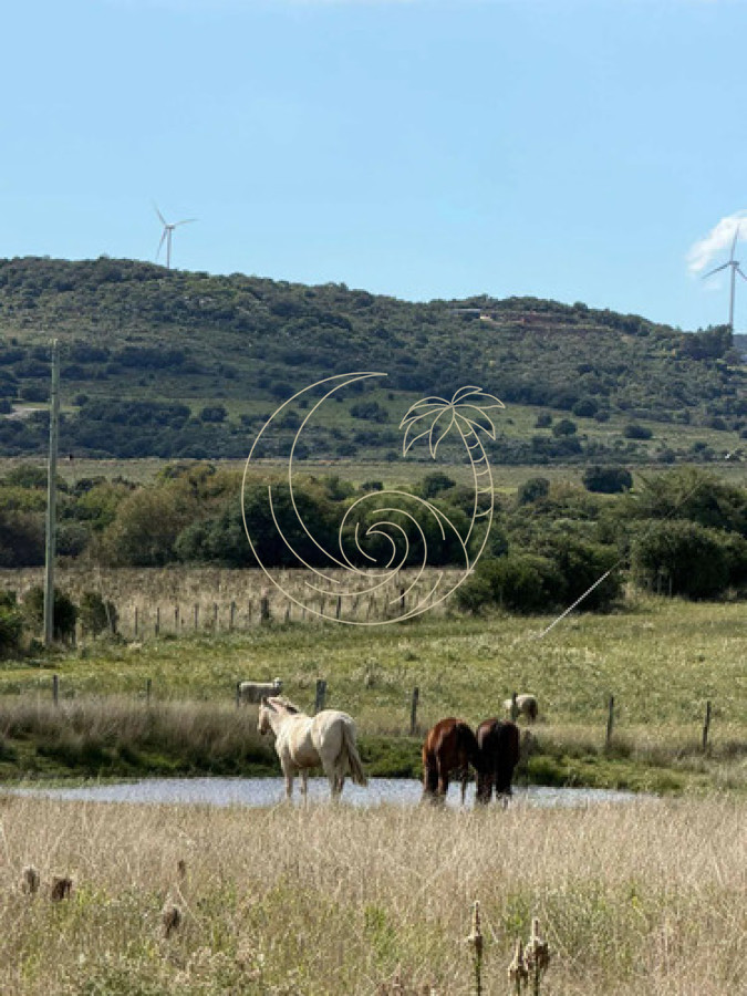 Campo Ref.21093231 - Campo en Maldonado: Potencial y Naturaleza