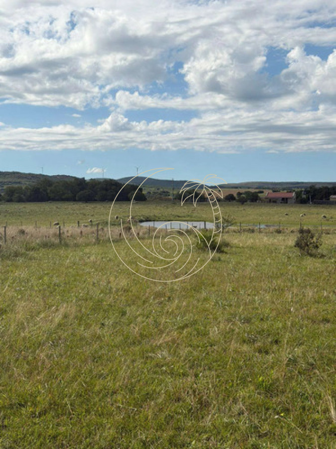 Campo Ref.21093231 - Campo en Maldonado: Potencial y Naturaleza